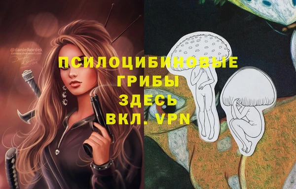 первитин Алексеевка