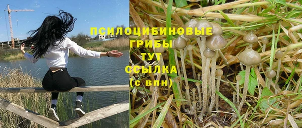 первитин Алексеевка