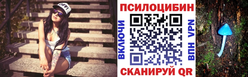 Псилоцибиновые грибы мухоморы Гусь-Хрустальный
